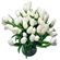 White Tulips. Tulips are delicated and refined flowers that symbolize spring and romance. They are ususally available since February till April. At other times during the year their stock may be limited.. Barcelona