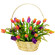 Spring rainbow. Classic spirng flower arrangement of mixed color tulips in a basket.. Barcelona